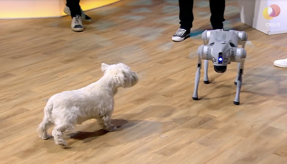 MELTi demoalal eksponeeritav robotkoer käis ka Telehommikus